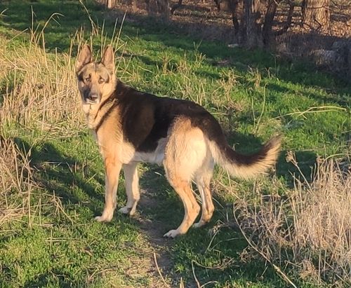 ���� ������������������� �������