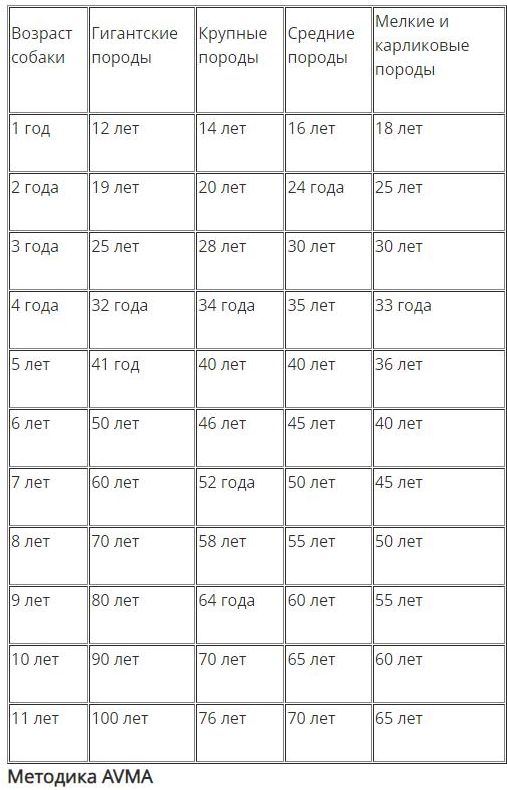 ������� �������� ����� � �������� �� �������