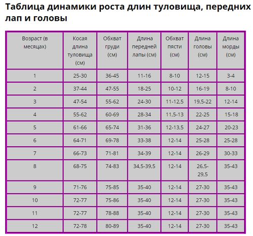 вес щенков восточноевропейской овчарки по месяцам